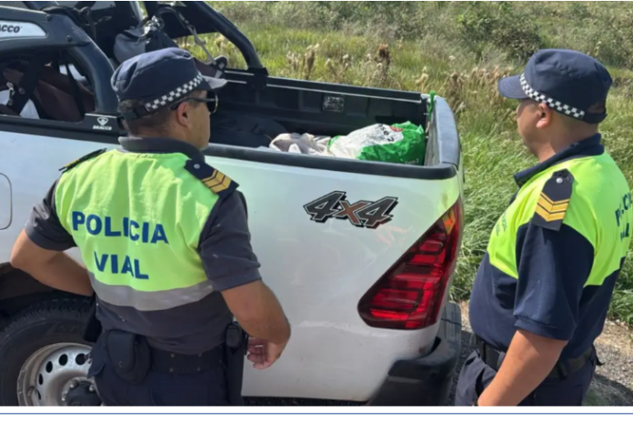 Corrientes: secuestraron 100 kilos de carne ilegal en un operativo en la Ruta 12