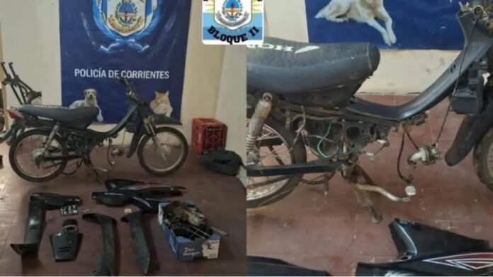 Corrientes: recuperan moto robada escondida entre la vegetación