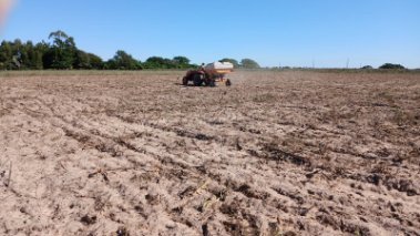 Cultivo de cobertura: El IPT y el INTA avanzan con el programa de conservación de suelo