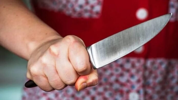 Una mujer apuñaló y mató a su pareja en el interior de Corrientes