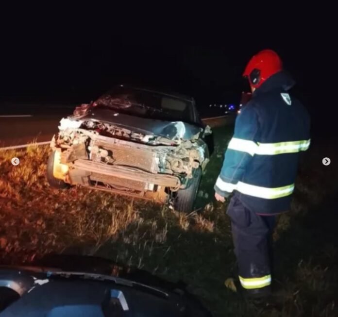 Búfalos sueltos provocaron un choque sobre la Ruta Nacional 12 en Corrientes