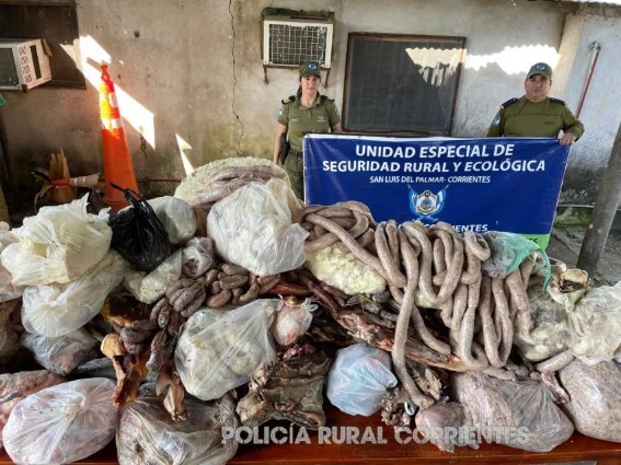 Secuestran más de 500 kilos de carne en mal estado en una carnicería