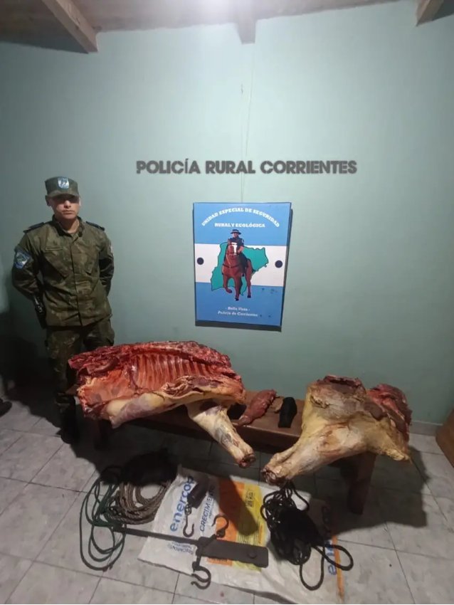 Cuatreros a caballo abandonaron bolsas en la costa del Paraná