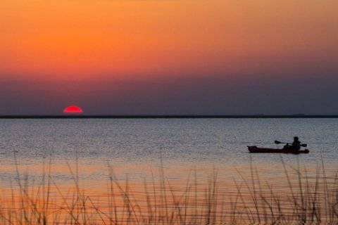 Día Mundial del Medio Ambiente: Iberá, símbolo de conservación y desarrollo para Corrientes
