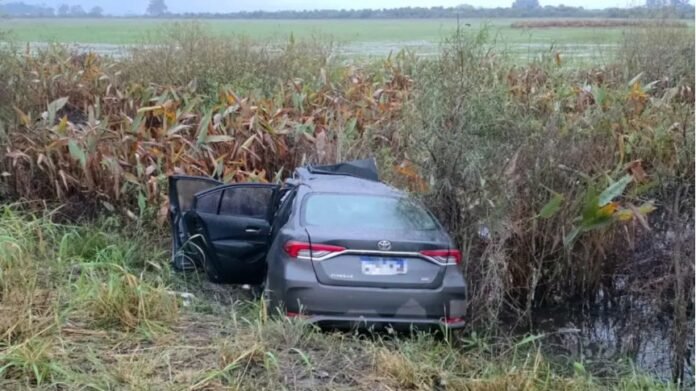 Hallaron cerca de $183 millones ocultos en un auto tras chocar contra una retroexcavadora en Corrientes