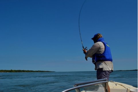 Sobre un tramo del río Paraná: Decretan el levantamiento de la veda pesquera extraordinaria